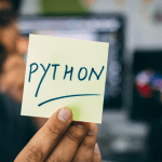 cara input program python