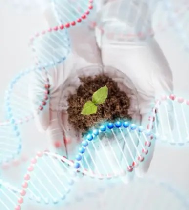 https://mahindrauniversity.edu.in/programs/b-tech/computational-biology/