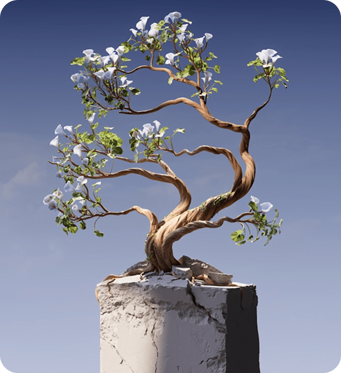 Maiky Transparency On Information Security - Best Mountain Designs in 4K