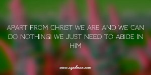 Apart from Christ we are and we can do nothing! We just need to abide in Him