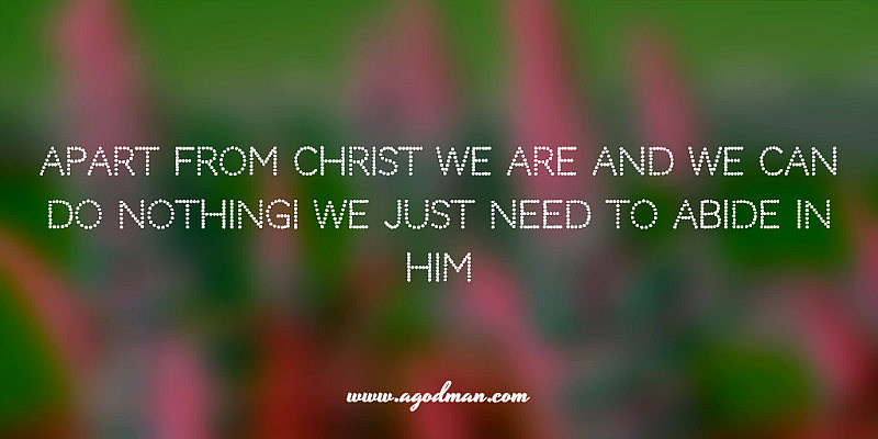 Apart from Christ we are and we can do nothing! We just need to abide in Him
