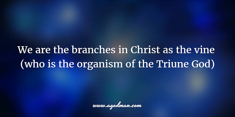 We are the branches in Christ as the vine (who is the organism of the Triune God)