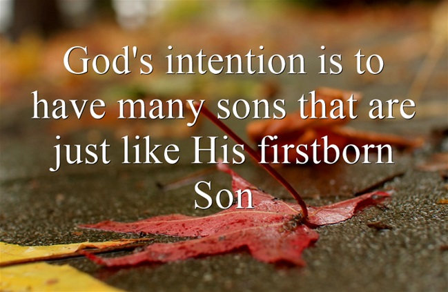 God's intention is to have many sons that are just like His firstborn Son