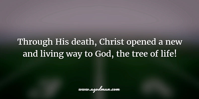 Through His death, Christ opened a new and living way to God, the tree of life!