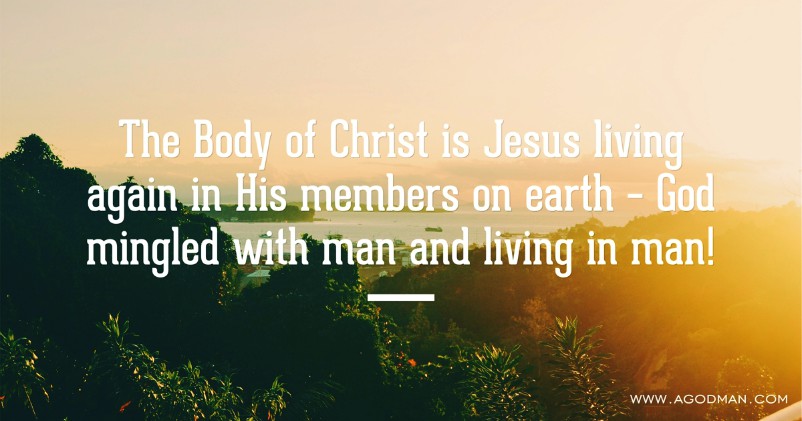 The Body of Christ is Jesus living again in His members on earth – God mingled with man and living in man!