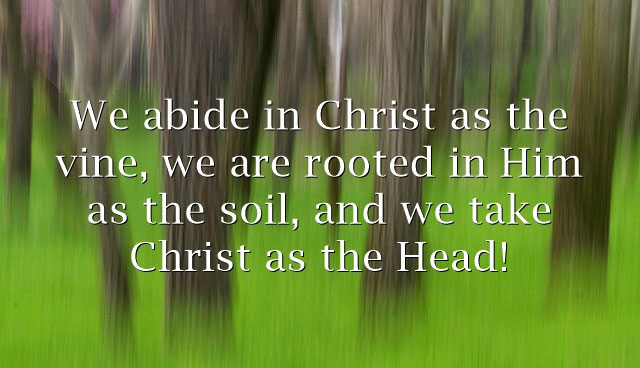 We abide in Christ as the vine, we are rooted in Him as the soil, and we take Christ as the Head