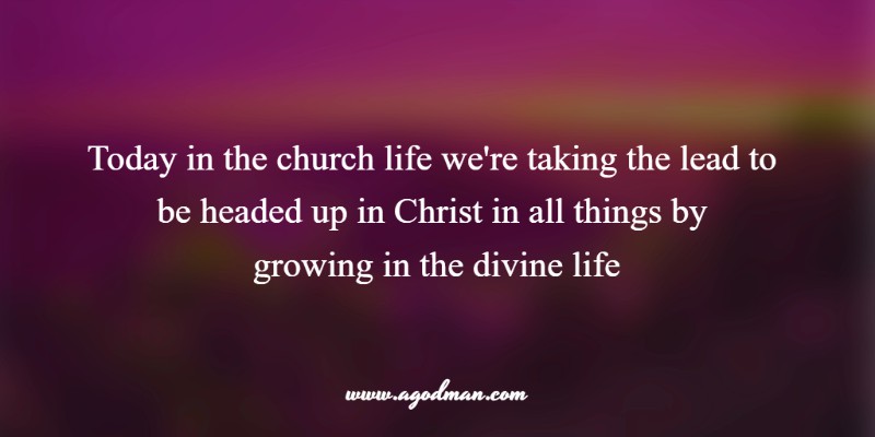 today in the church life we're taking the lead to be headed up in Christ in all things by growing in the divine life