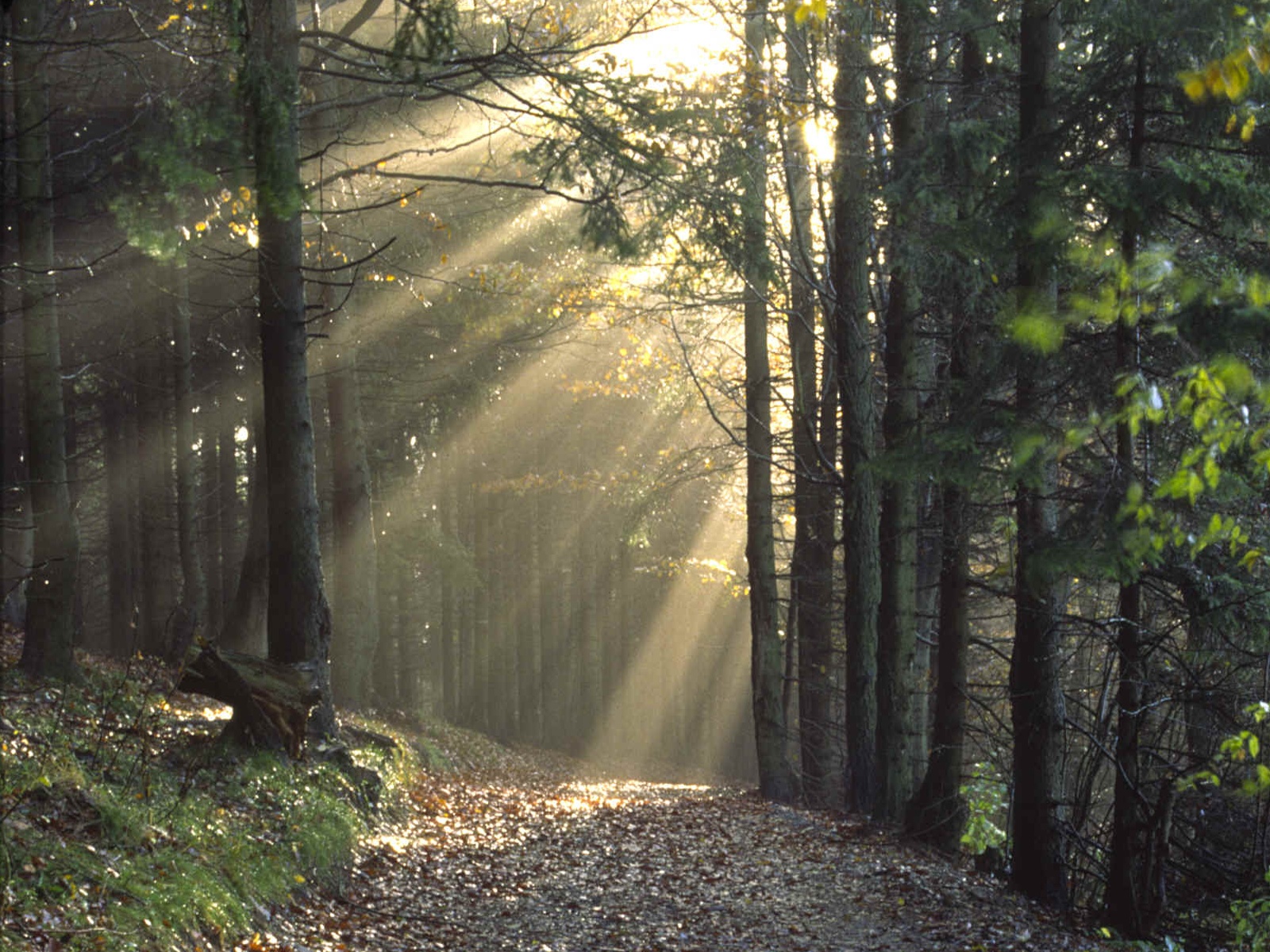 keeping ourselves empty, open, fresh, living, and young with the Lord for His move