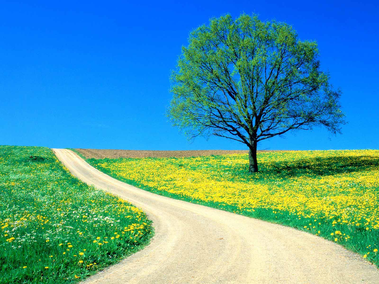 today the church is the depository and the storehouse of the power of resurrection