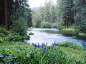 allowing God's life to be lived out of us and having an overflow of life
