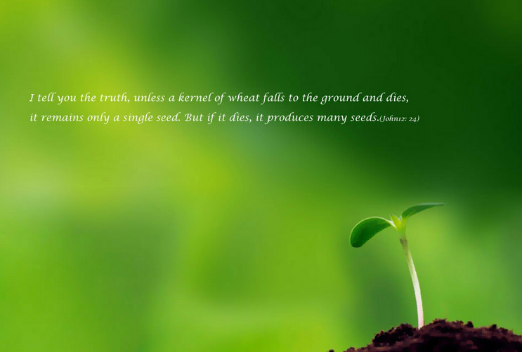 knowing the pathway of life: death is the way for God's life to be released