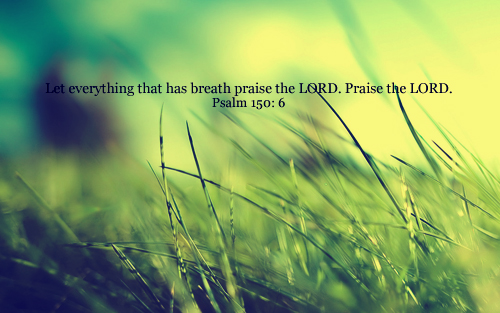 Let everything that has breath praise the Lord! Hallelujah! Praise the Lord!