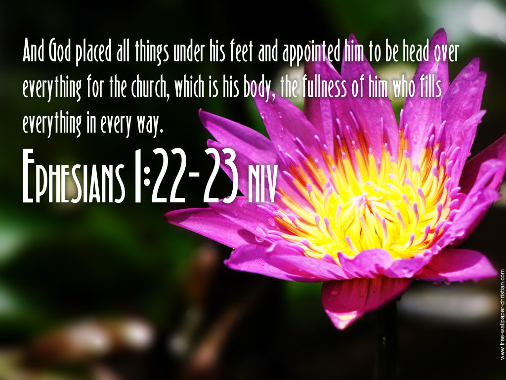 for the Body to be built up the self needs to be dealt with by the cross