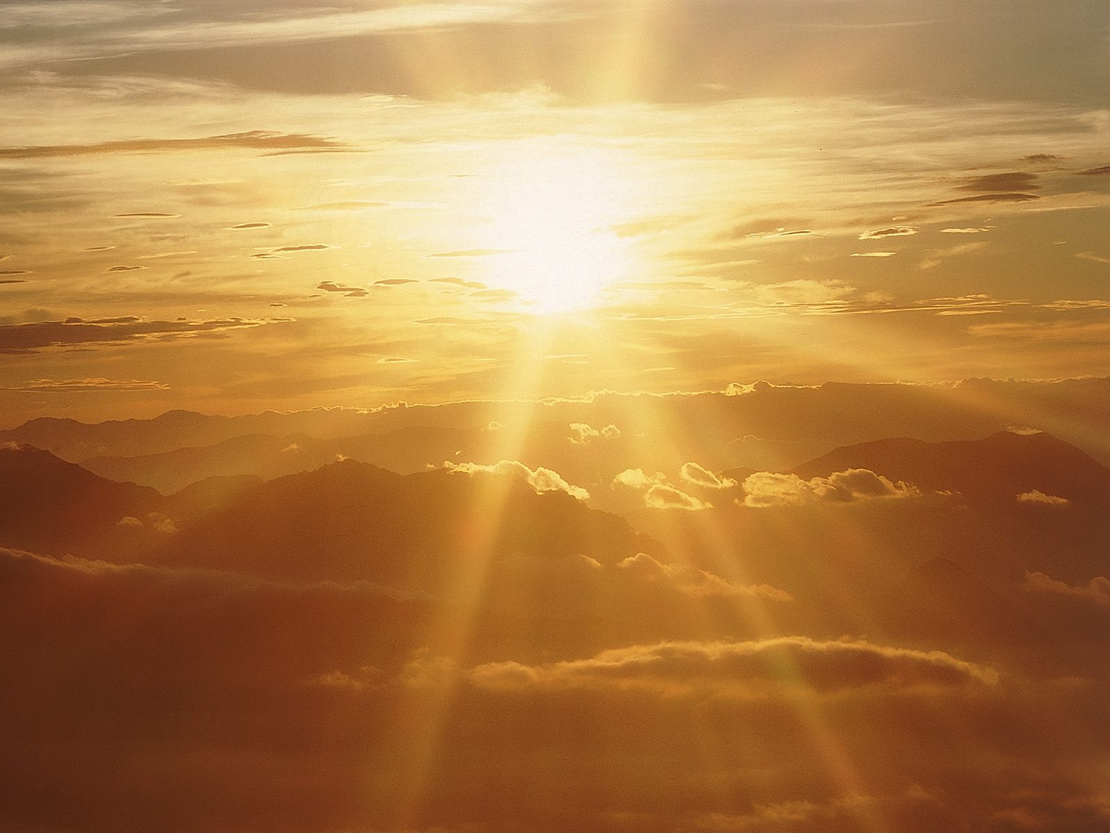 the highest expression of our Christian life is prophesying for building up