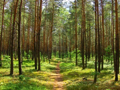 working with God within the measure and the limit He has apportioned us