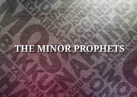 seeing the centrality and universality of Christ in the Minor Prophets
