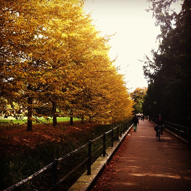 Seeing Christ's Goings Forth from Eternity in History and Into Our Heart! [in the picture: alley in Cambridge, UK]