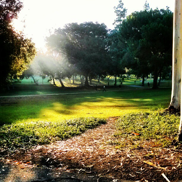 Christ's goings forth on the bridge of time to gain God's dwelling place [in the picture: a walk in the park early in the morning]