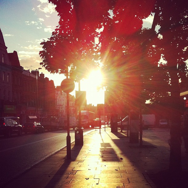 a view of the coming millennial kingdom in its heavenly and earthly part [in the picture: sun shining early in the morning]