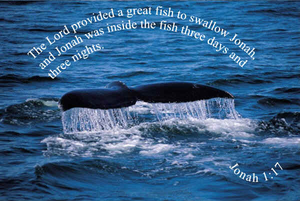 the unique sign given to us by God is the sign of Jonah the prophet [in the image: a picture of a great fish]