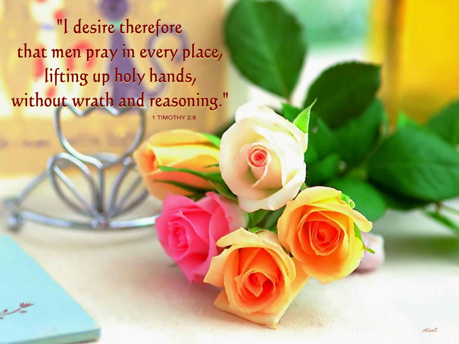 "I desire therefore that men pray in every place, lifting up holy hands, without wrath and reasoning" (1 Tim. 2:8)