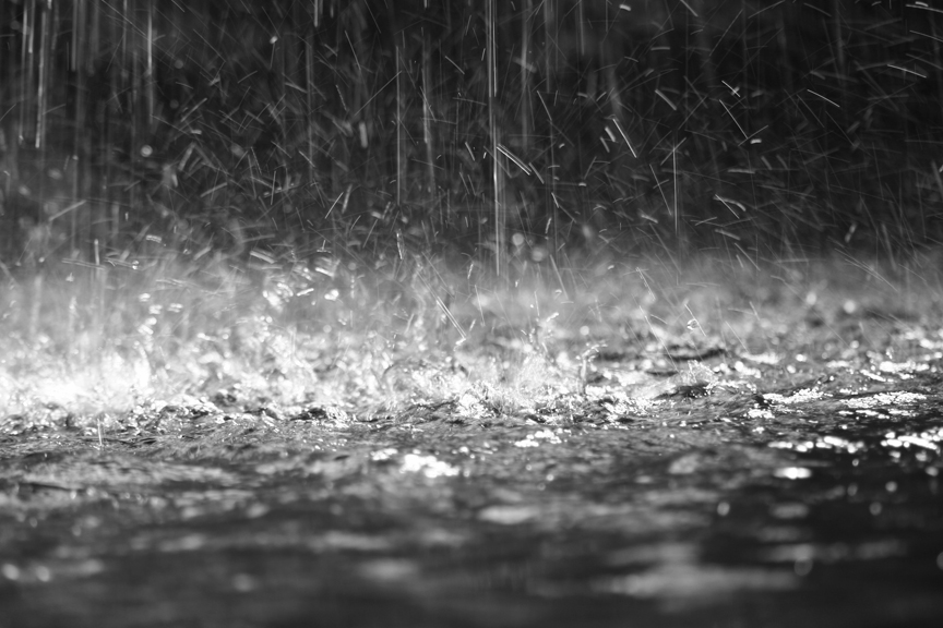 Ask rain of Jehovah / At the time of spring rain, / Of Jehovah who makes the lightning, / And He will give them showers of rain, / To everyone herbage in the field. (Zech. 10:1)