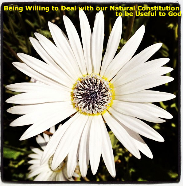 Being Willing to Deal with our Natural Constitution for us to be Useful to God