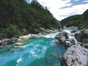 12 Items Related to the Fellowship Being the Flow of the Divine Life in us