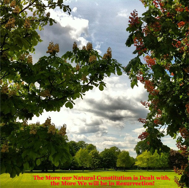The More our Natural Constitution is Dealt with, the More We will be in Resurrection!