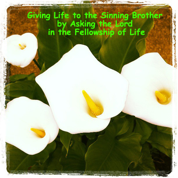 Giving Life to the Sinning Brother by Asking the Lord in the Fellowship of Life