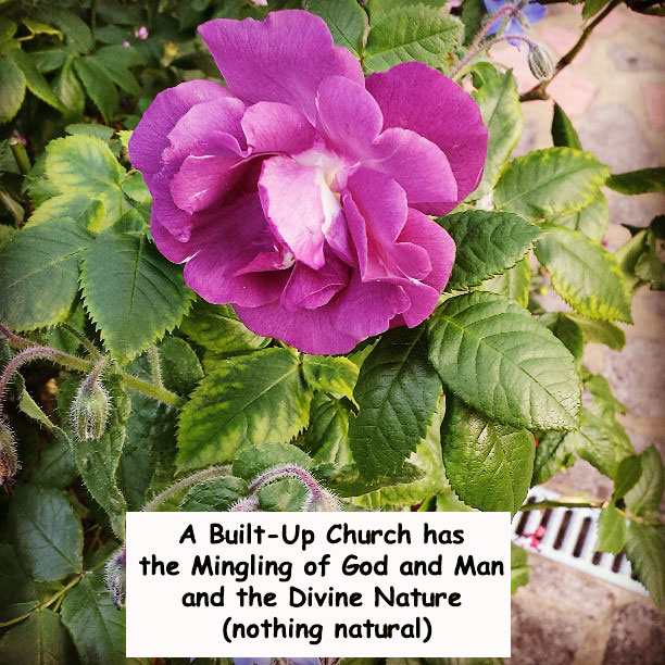 A Built-Up Church has the Mingling of God and Man and the Divine Nature (nothing natural)