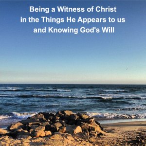 Being a Witness of Christ in the Things He Appears to us and Knowing God's Will