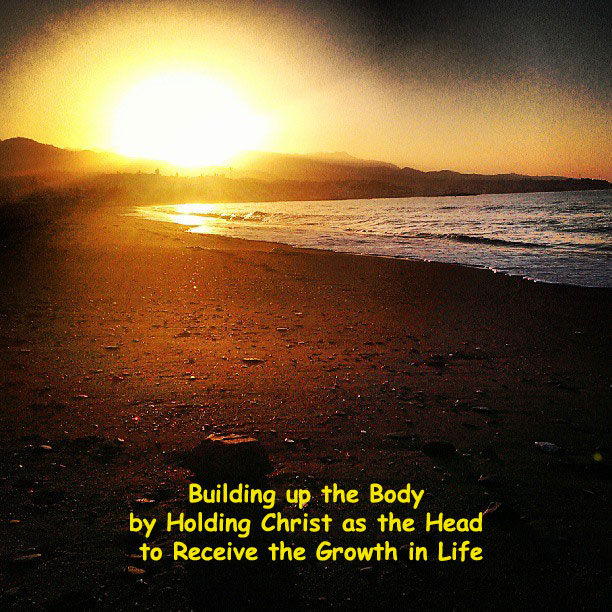 Building up the Body by Holding Christ as the Head to Receive the Growth in Life