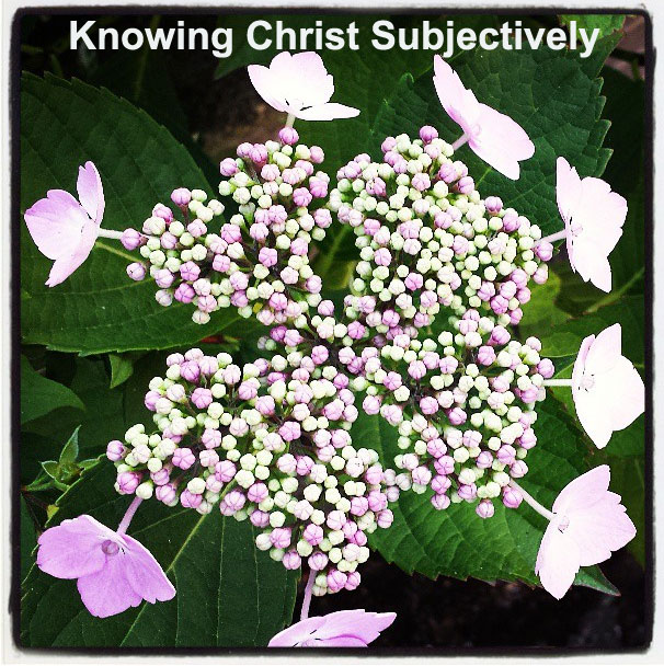 Subjectively Knowing Christ as the Indwelling One, the Life-Giving Spirit