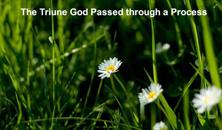 The Triune God in Christ Passed through a Process to be Able to Regenerate Man for His Body