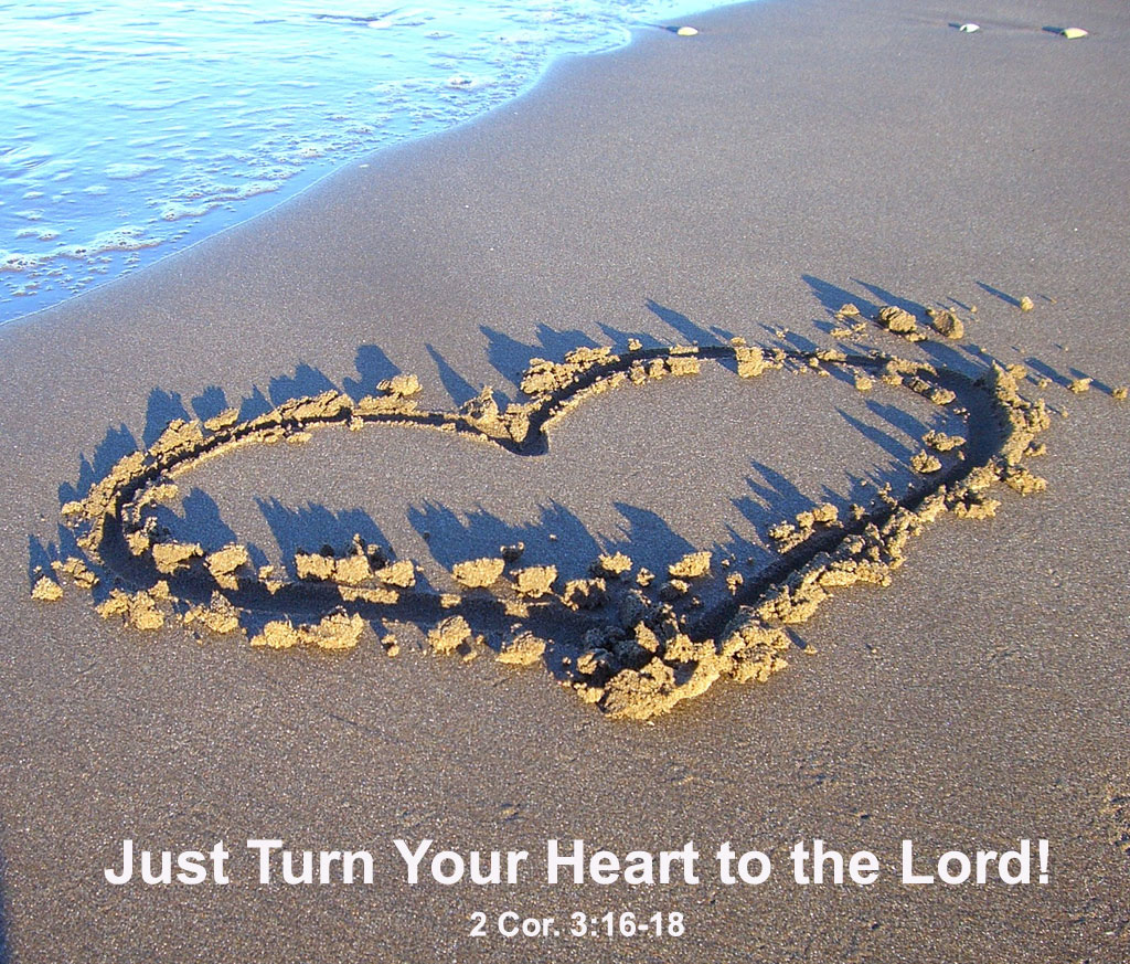Turning our Heart to the Lord to be Metabolically Transformed into His Image. Just turn your heart to the Lord, and you will be transformed in His image (2 Cor. 3:16-18)!