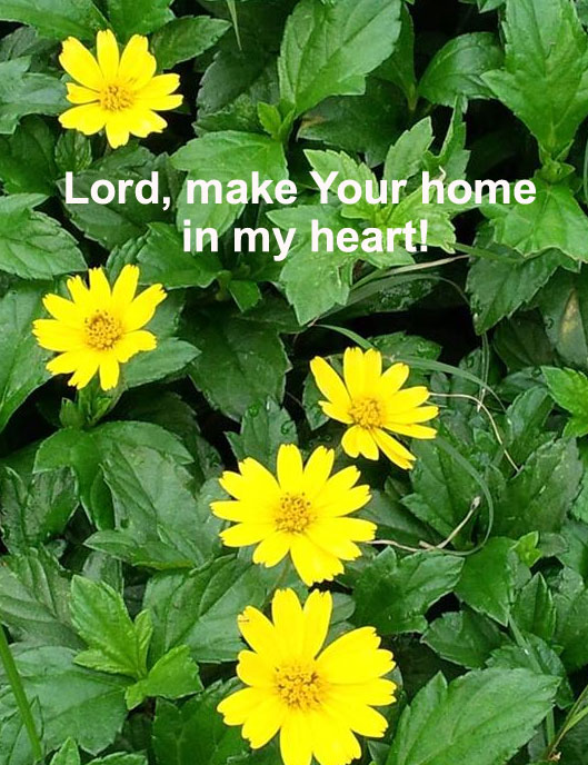 Allowing the Indwelling Christ to Make His Home in Our Heart and Feel at Home in us. Lord, make Your home in my heart!