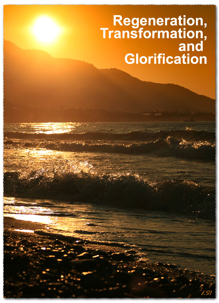 The Transformation of our Soul is a Lifelong Process, Unlike our Regeneration and Glorification