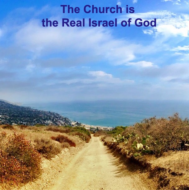 The Believers in Christ are the Real Israel of God and the Many Sons of God