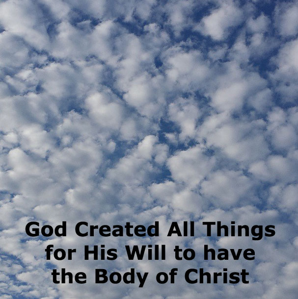 God Created All Things for His Will to have the Body of Christ as His Expression