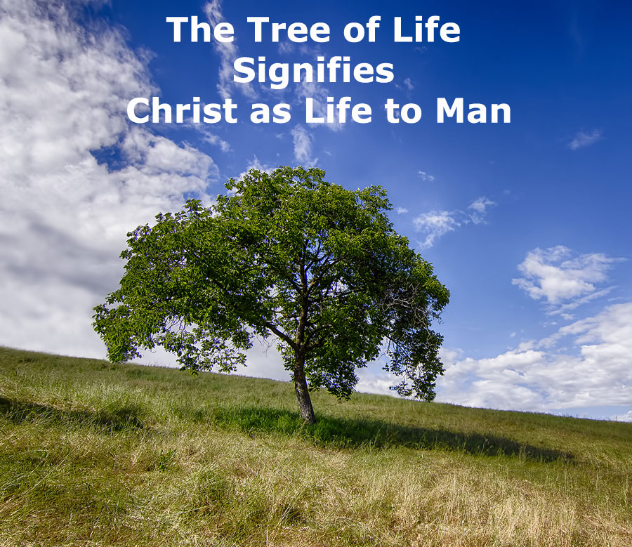 The Tree of Life Signifies Christ as Life to Man