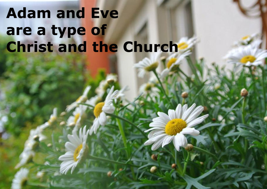 Adam and Eve are a Type of Christ and the Church: "It is Not Good for God to Be Alone"