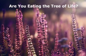 Are You Eating the Tree of Life?