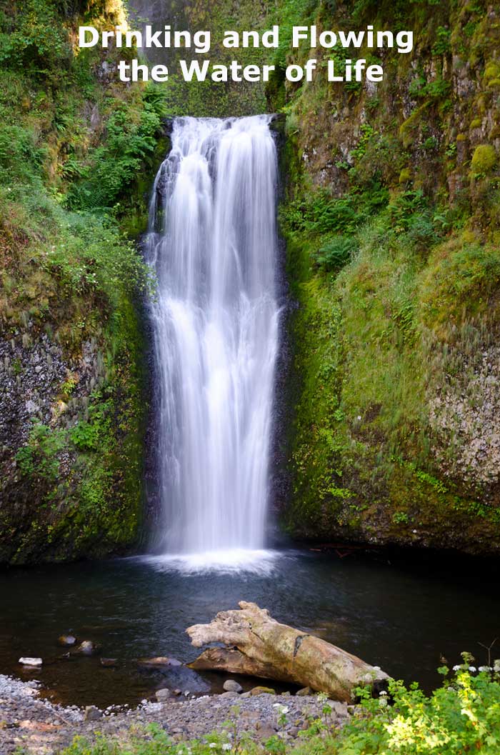 Drinking and Flowing the Water of Life in Resurrection in our Daily Experience