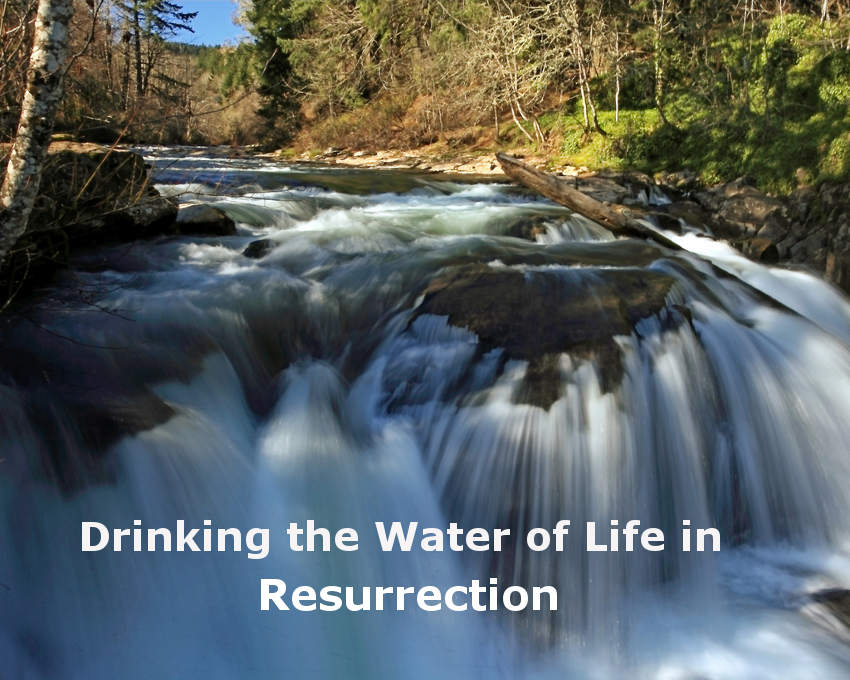 Drinking the Water of Life in Resurrection to be Persons In and Of Resurrection