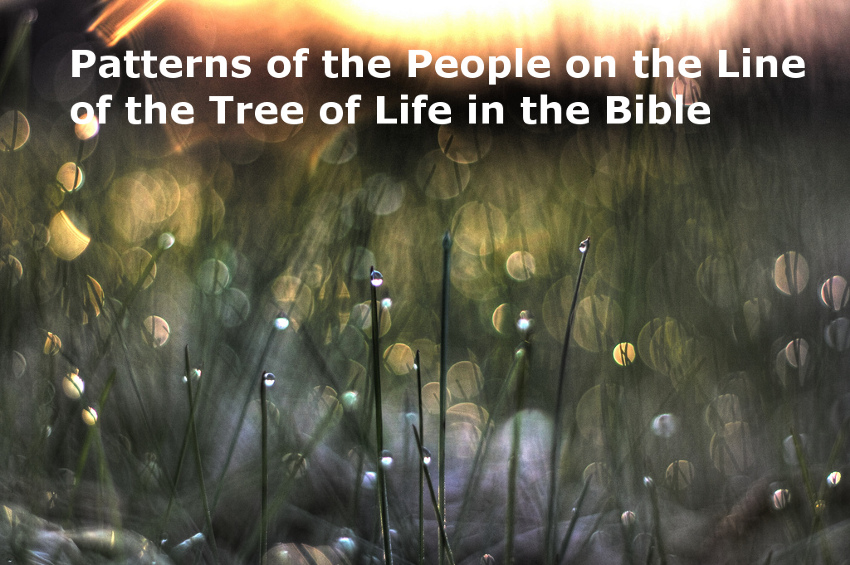Seeing the Patterns of the People on the Line of the Tree of Life in the Bible