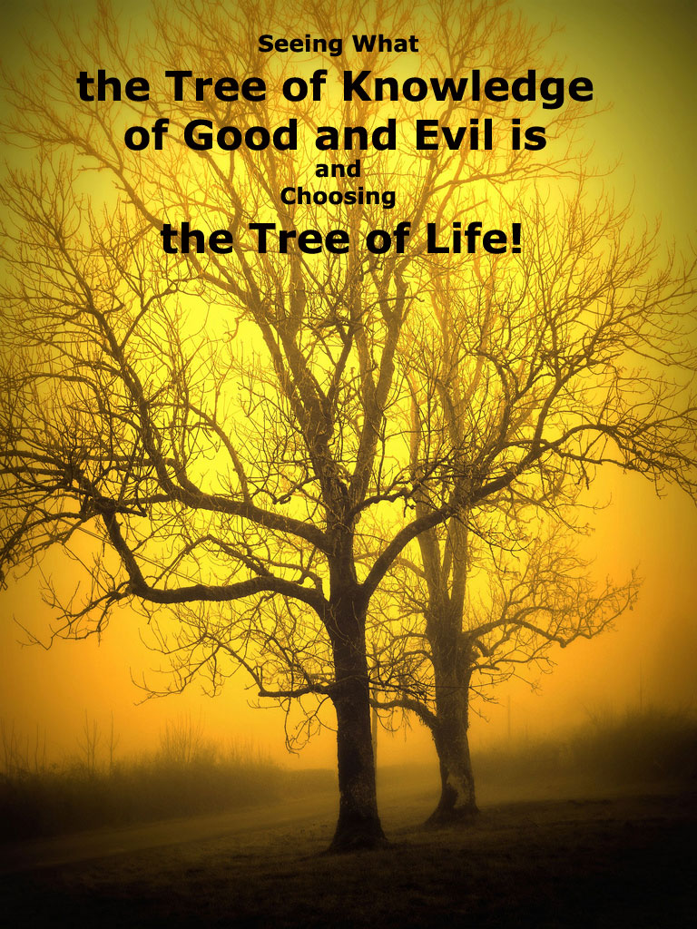 Seeing What the Tree of Knowledge of Good and Evil is and Choosing the Tree of Life!