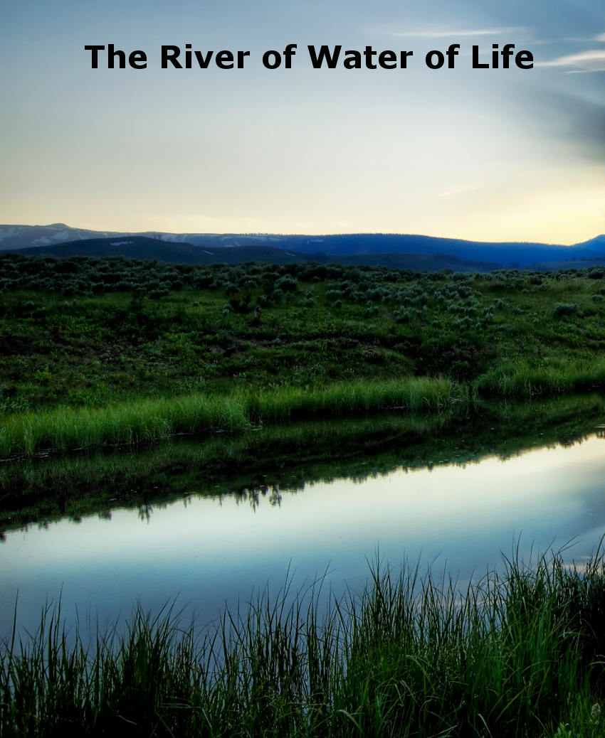 The River of Water of Life: God Reaching Man All Over the Earth to Be His Life!