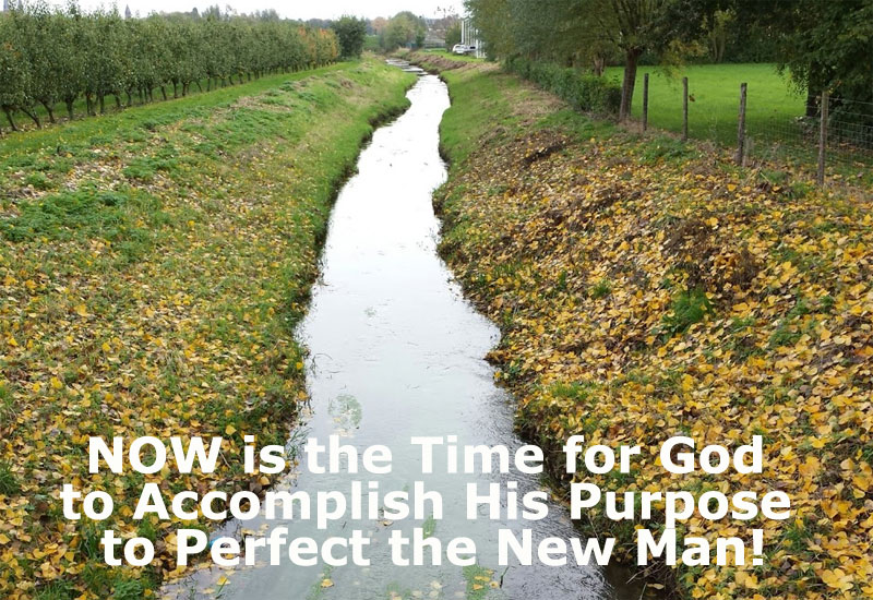NOW is the Time for God to Accomplish His Purpose to Perfect the New Man!