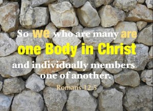 Our Need to See a Revelation of the Body of Christ: We are Members of the Body! Rom 12:5 So we who are many are one Body in Christ and individually members one of another